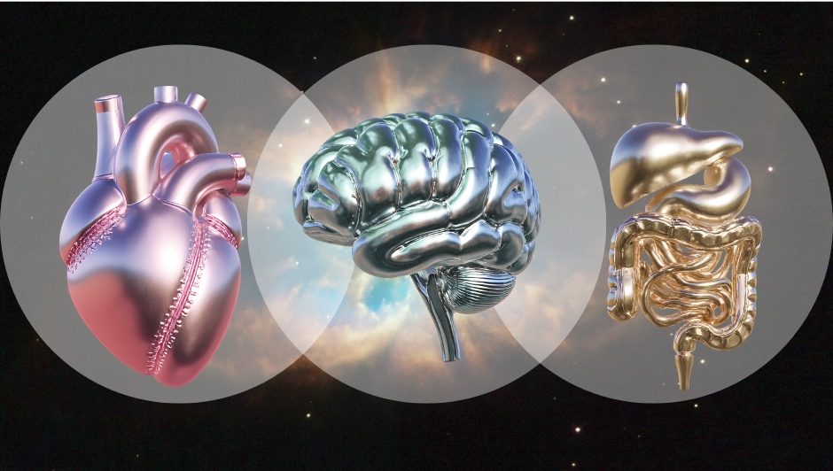 Neuroenergetikai-kineziológia, SIPS, Agyformatálás